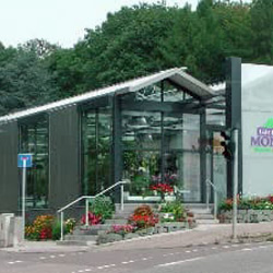 Gärtnerei Monzel e.K. - powered by Bscout® - Suchmaschine & Netzwerk!