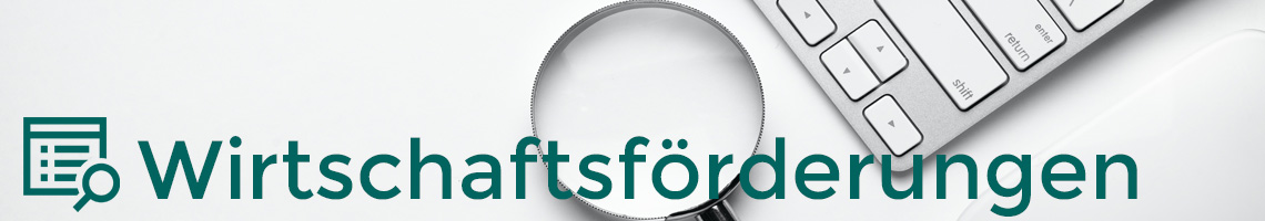 Ergebnisse Bscout-Suche für Wirtschaftsförderung